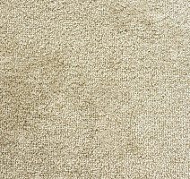 Ковролин Зартекс Sense Highlights (Soft carpet) Sense Highlights 053 Мокрый Песок фото 1 | FLOORDEALER